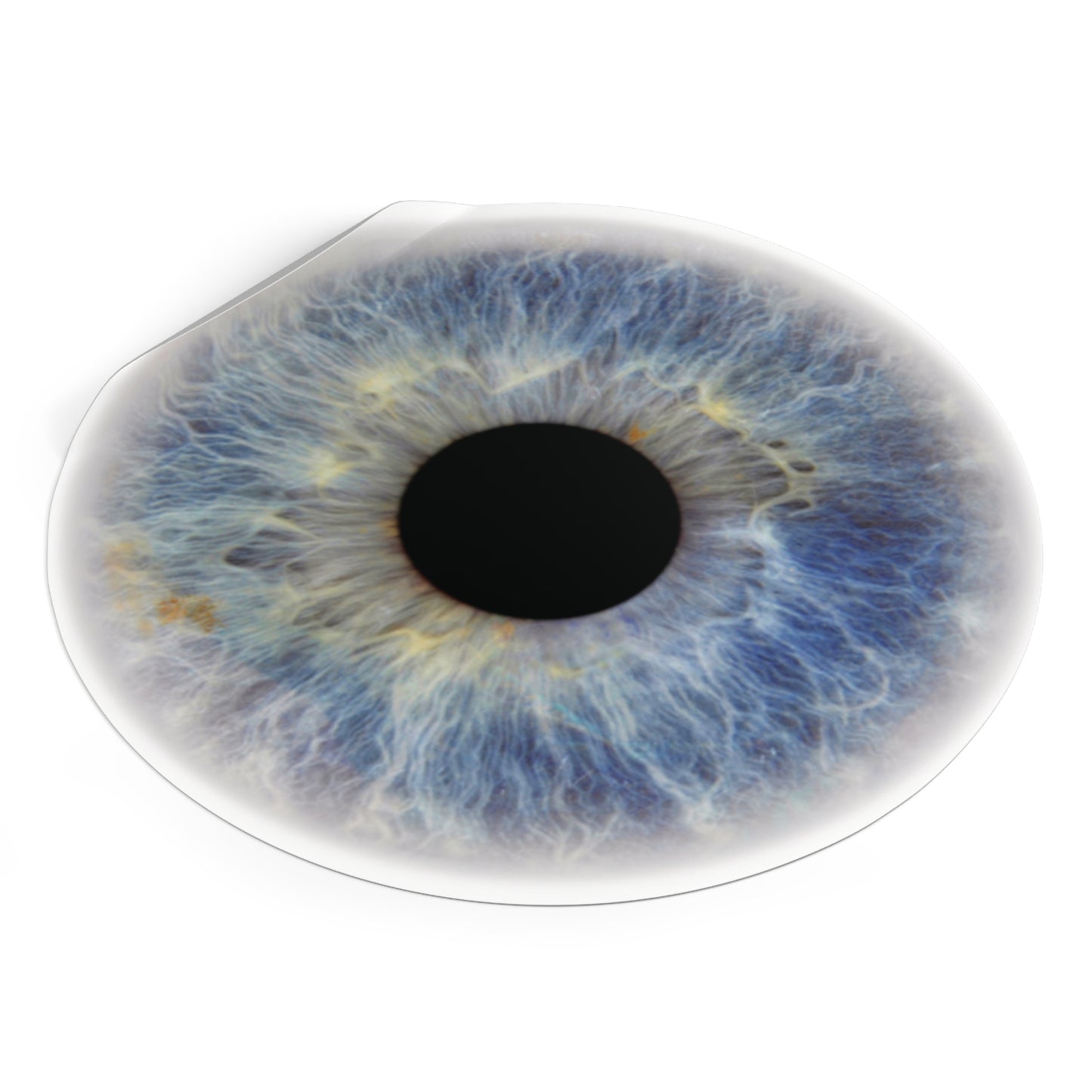Eye Round Vinyl Stickers - Unique Art Décor
