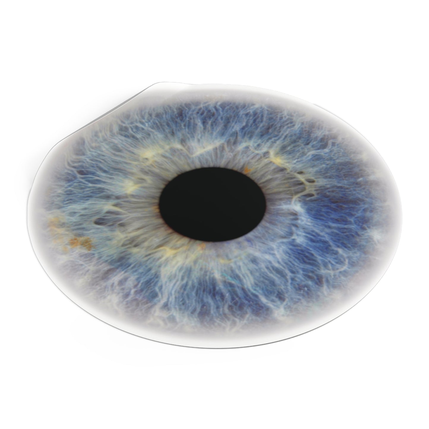 Eye Round Vinyl Stickers - Unique Art Décor