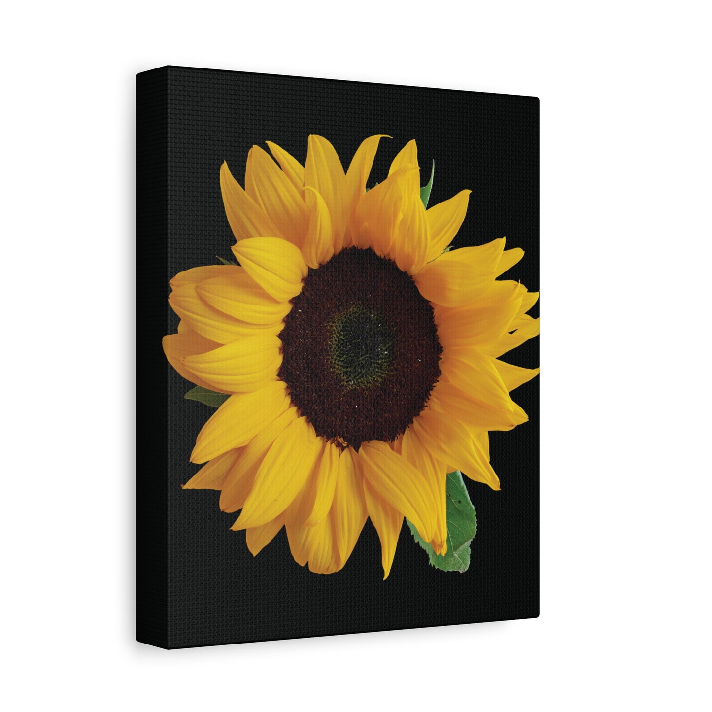 Matte Canvas Wood Frame - Black Sunflower